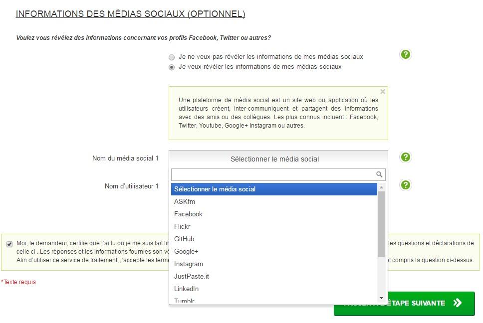 Capture d'écran du formulaire en ligne.