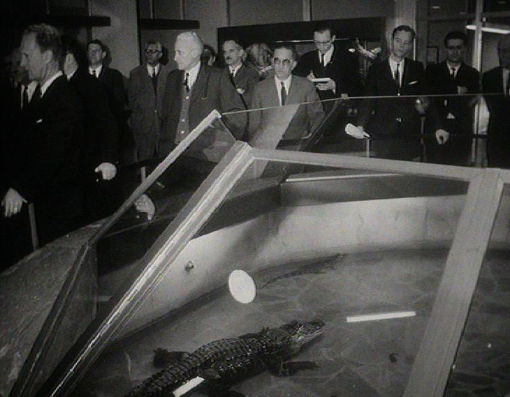 Officiels lors de l'inauguration du Muséum de Genève en 1967. [RTS]
