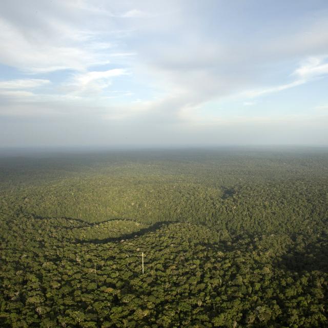 Les forêts, qui se font de plus en plus déboiser, n'absorbent plus autant de CO2. [REUTERS - Bruno Kelly]