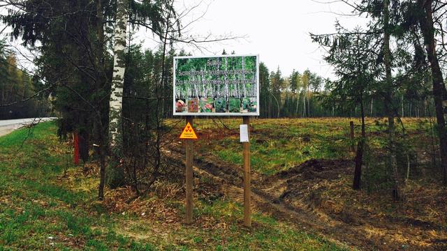 Les taux de radioactivité sont particulièrement élevés dans la forêt de Zlynka. [RTS - Isabelle Cornaz]