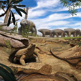 Illustration de la proto-tortue Eunotosaurus dans son environnement, il y a 260 millions d'années en Afrique du Sud.
Andrey Atuchin
UZH [UZH - Andrey Atuchin]