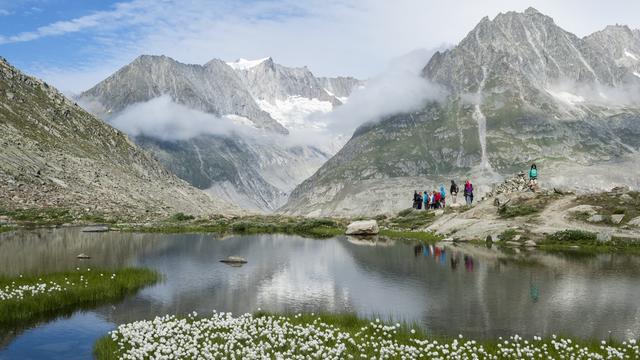 Des touristes font une randonnée près du glacier d'Aletsch. [Keystone - Dominic Steinmann]