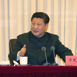Xi Jinping. [AFP - Xinhua/Li Gang]