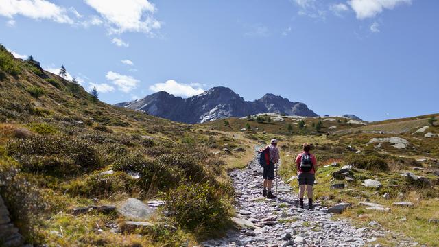 Le Parc Adula, situé à cheval entre les Grisons et le Tessin, pourrait devenir le deuxième parc national de Suisse. [Keystone - Gaëtan Bally]