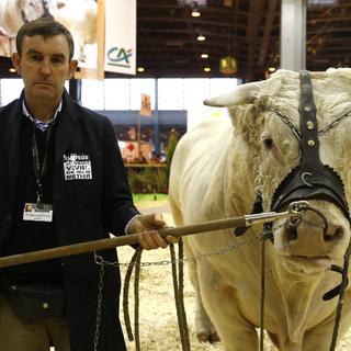 Un fermier et son taureau au Salon de l'agriculture à Paris. [Kenzo Tribouillard]