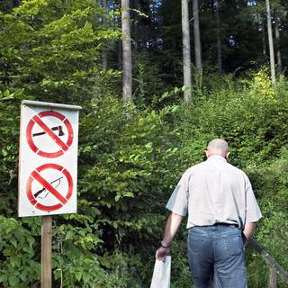 Interdiction d'abattre des arbres ou de chasser dans une forêt des Karpates en Ukraine [AFP - SIGI TISCHLER]