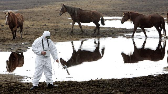 Une mesure de radioactivité effectuée en 2006 dans la zone d'exclusion de Tchernobyl. [AFP - Viktor Drachev]