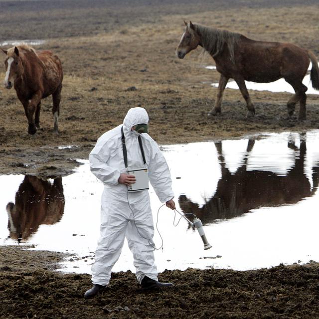 Une mesure de radioactivité effectuée en 2006 dans la zone d'exclusion de Tchernobyl. [AFP - Viktor Drachev]