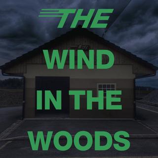 L'affiche du spectacle "The Wind in the Woods" à l'Arsenic. [arsenic.ch]