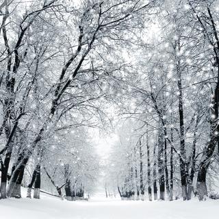 Paysage d'hiver. [Fotolia]