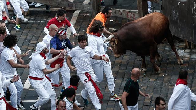 Les taureaux ont chargé certains des coureurs en les projetant spectaculairement dans les airs ou en s'acharnant sur eux au sol.