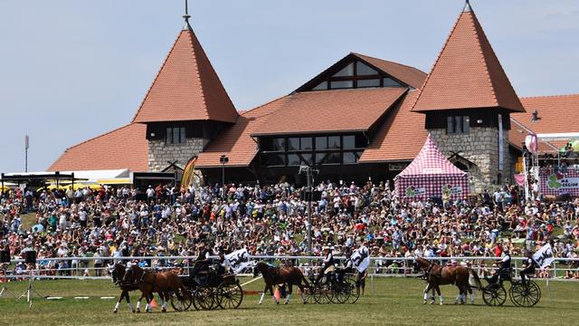 L'édition 2015 du Marché-Concours de Saignelégier (JU). [RTS - Gaël Klein]