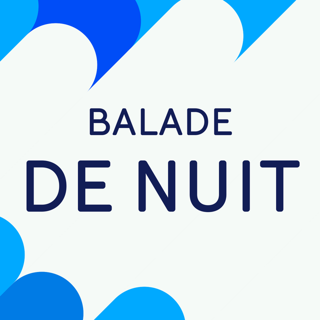 Logo "Balade de nuit". [RTS]