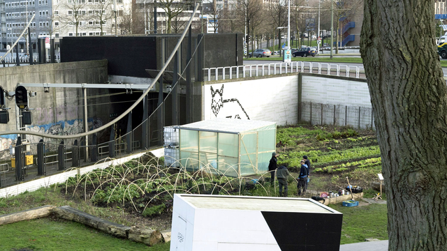 Les fermes urbaines se multiplient aux Pays-Bas (ici, à Rotterdam). [DPA/AFP - Robert B. Fishman]