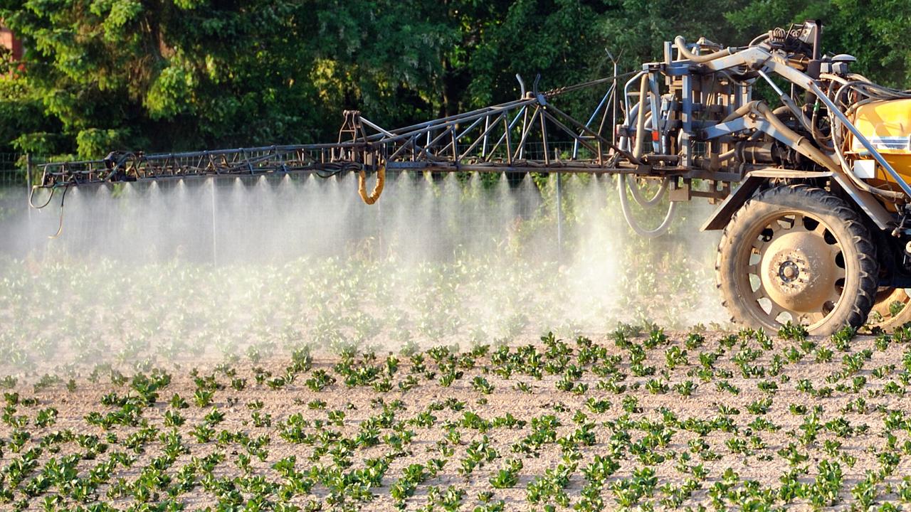 2000 tonnes de pesticides sont utilisées chaque année en Suisse. [AFP - Philippe Huguen]