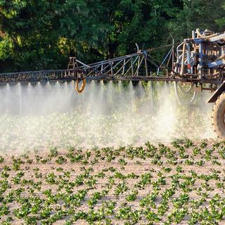 2000 tonnes de pesticides sont utilisées chaque année en Suisse. [AFP - Philippe Huguen]