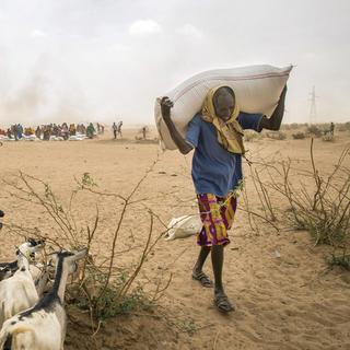 L'Ethiopie est touchée par une sécheresse. [key - AP Photo/Mulugeta Ayene]