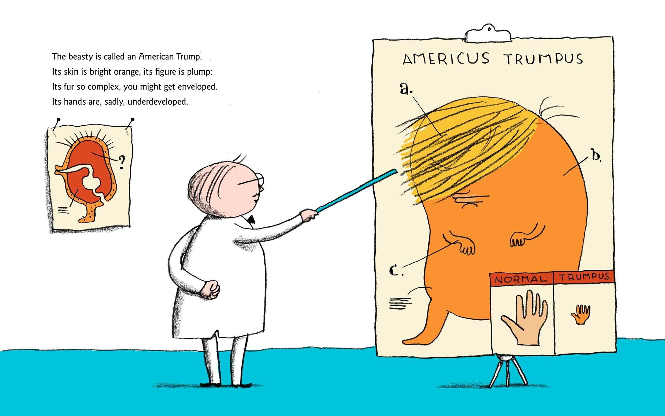 Le livre présente Donald Trump comme une boule orange à la chevelure abondante. [Simon & Schuster]