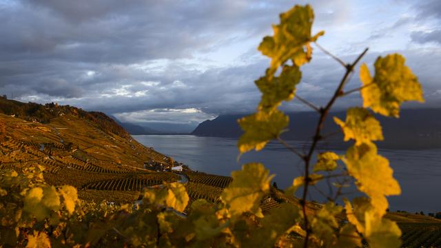 L'inventaire suisse des gaz à effet de serre (GES) a été remis vendredi au Secrétariat de l'ONU sur les changements climatiques. [Jean-Christophe Bott]