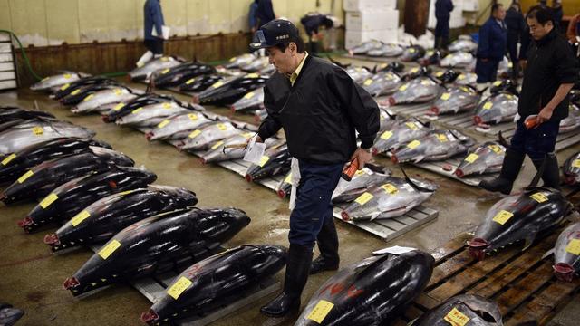 Du thon rouge sur le marché de Tsukiji, au Japon. [key - EPA/Franck Robichon]