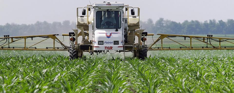 Un agriculteur répand l'herbicide glyphosate sur un champ de maïs en Illinois, USA. [Keystone - Seth Perlman]