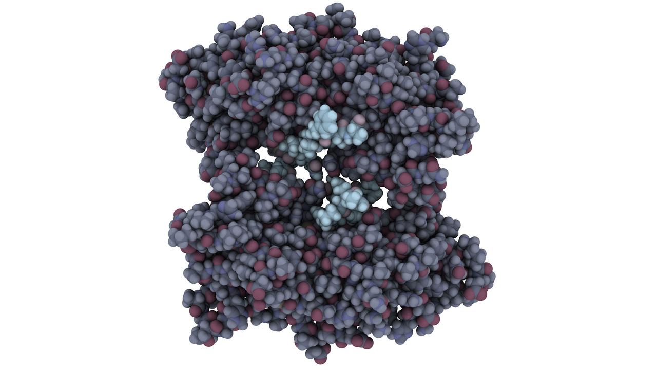 Illustration de la mutation du gène BRCA1.
molekuul.be
Fotolia [molekuul.be]