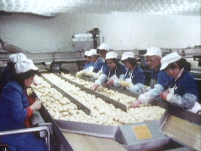 Chaîne de fabrication de pommes de terre frites, 1986. [RTS]