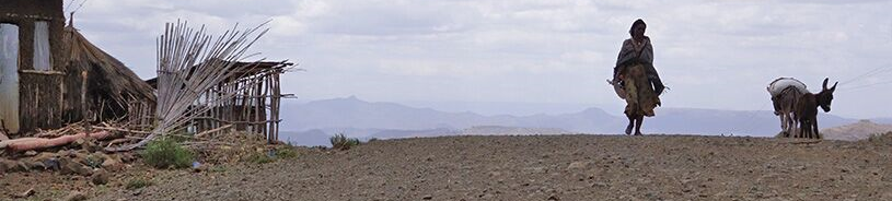 Une femme et du bétail en Ethiopie. [Yves Magat]