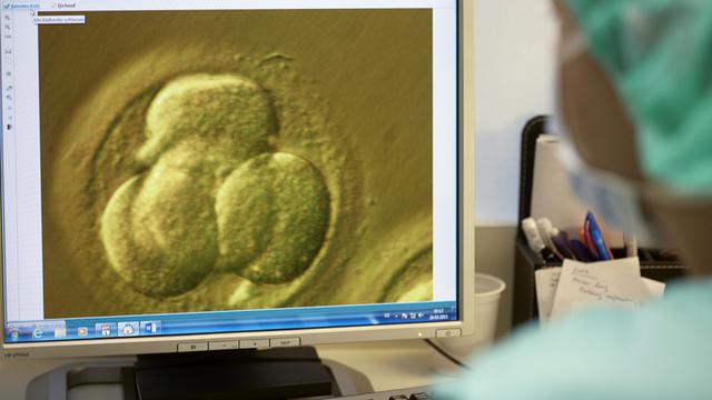 L'employé d'un centre de procréation assistée à Zurich observe l'évolution d'un embryon qui doit être implanté. [Keystone - Gaëtan Bally]