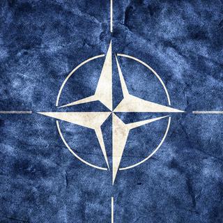 Drapeau de l'OTAN. [Fotolia]