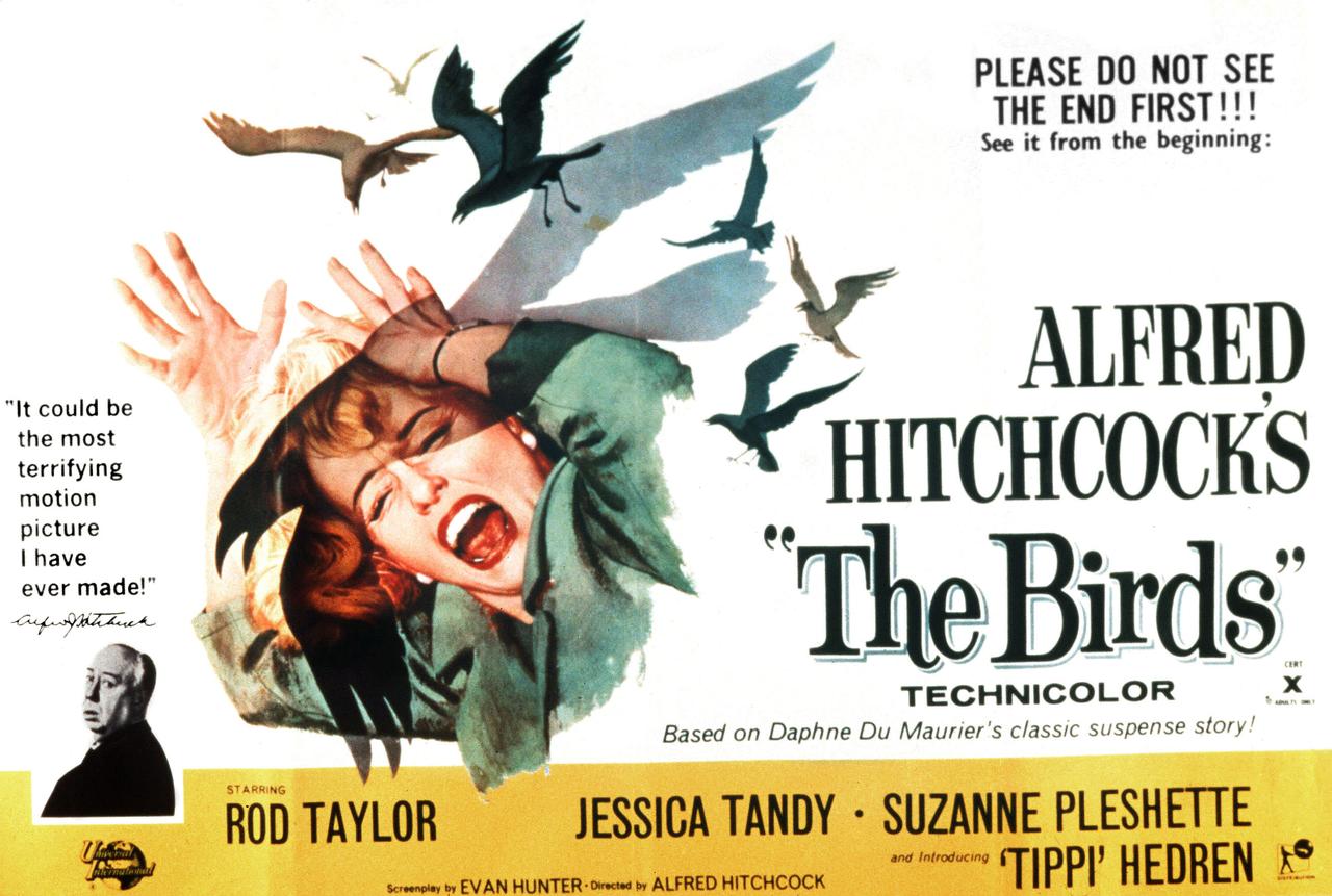 L'affiche du film "Les Oiseaux" d'Alfred Hitchcock. [Kobal / The Picture Desk / AFP]