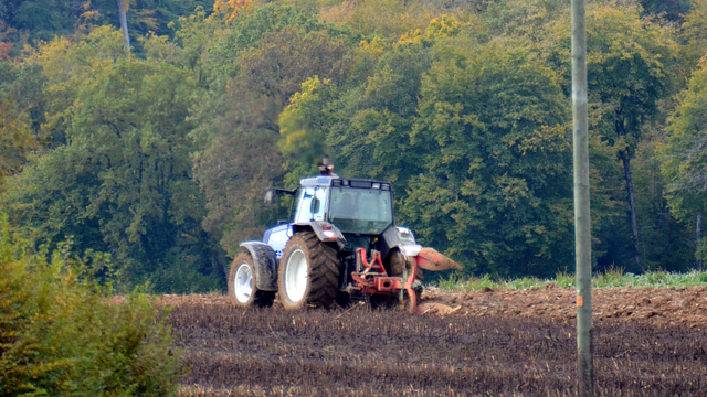 L'initiative veut renforcer l'approvisionnement avec des denrées issues de l'agriculture suisse. [RTS - Gaël Klein]