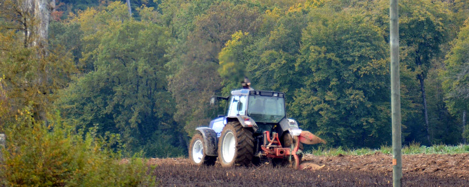 L'initiative veut renforcer l'approvisionnement avec des denrées issues de l'agriculture suisse. [RTS - Gaël Klein]