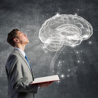 Une zone cérébrale est spécifiquement dédiée à la lecture.
Sergey Nivens
Fotolia [Sergey Nivens]