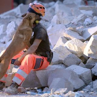 Les sauveteurs continuent de chercher des victimes sous les décombres. [DAP/AFP - Maurizio Gambarini]