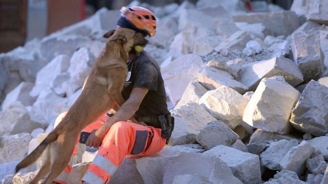 Les sauveteurs continuent de chercher des victimes sous les décombres. [DAP/AFP - Maurizio Gambarini]