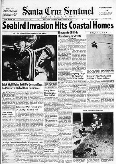 La Une du Santa Cruz Sentinel du 18 août 1961 qui interpelle Alfred Hitchcock. [RTS - Santa Cruz Sentinel, 18 août 1961]