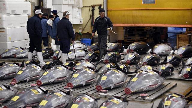 Des centaines de thons sont vendus chaque jour à Tsukiji. [EPA/Franck Robichon]