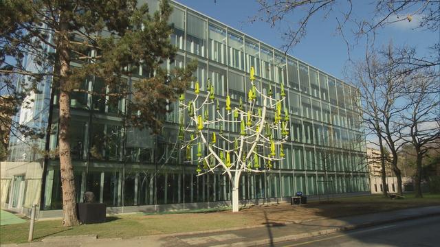 Le tout premier arbre à vent de Suisse inauguré vendredi à Genève [RTS]