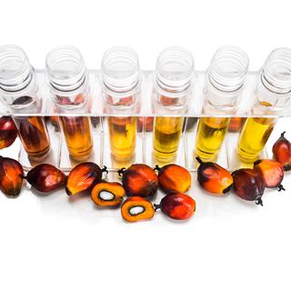 Des résidus agricoles issus de la fabrication d’huile de palme peuvent être transformés en biocarburant.
ThamKC
Fotolia [ThamKC]