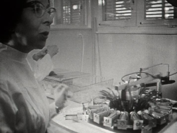 Test sur des souris en 1965. [RTS]