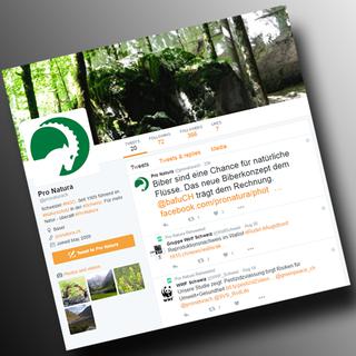 La page de Pro Natura sur Twitter.