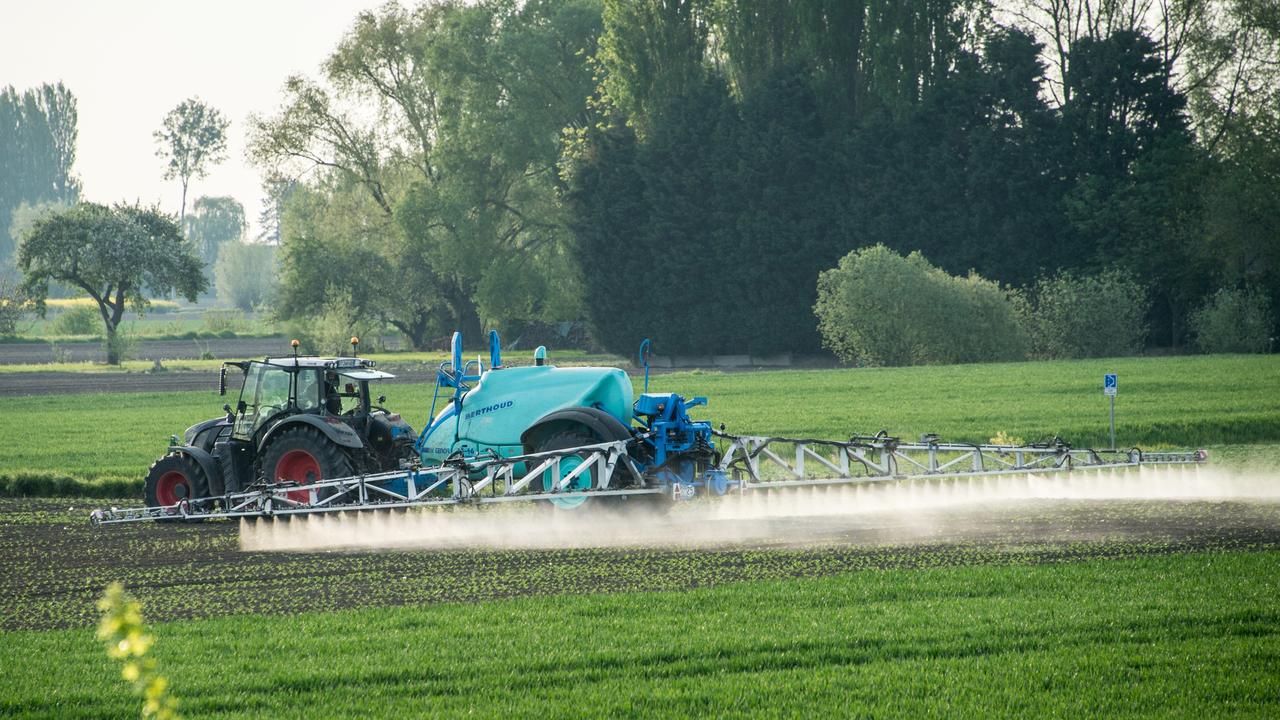 Les paysans suisses soulignent qu'ils n'utilisent pas plus de substances chimiques que leurs collègues à l'étranger. [AFP Photo - Denis Charlet]