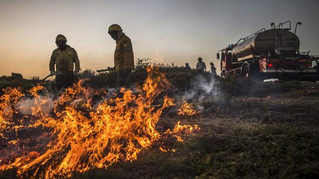 "Les flammes ont atteint 7 mètres de haut, les pompiers ne peuvent pas avancer", a raconté une riveraine. [GONCALO DELGADO]