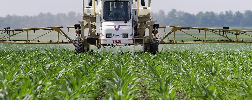 Les eurodéputés demandent de renouveler l'autorisation de commercialisation du glyphosate. [AP/Keystone - Seth Perlman]