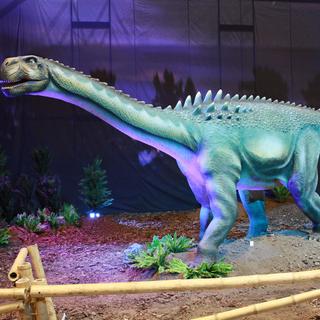 Les dinosaures continuent de fasciner, ici l'ampelosaurus. [© copyrights 2015 Opus One]