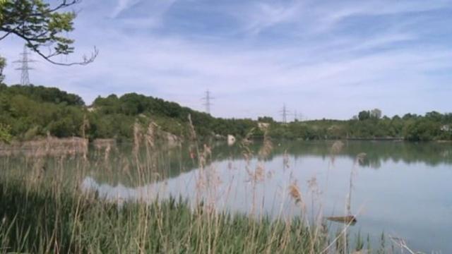 Le Rhône près du barrage de Verbois, dans le canton de Genève. [RTS]