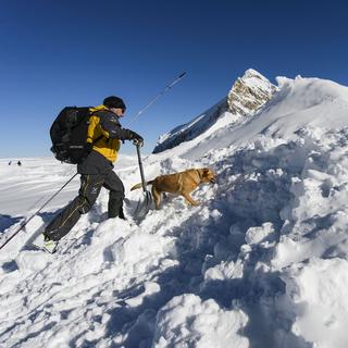 Un conducteur de chiens du Secours alpin suisse lors d'un exercice,  le 27 novembre 2015 au Glacier 3000 au dessus des Diablerets. [Jean-Charistophe Bott]