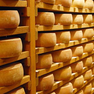 Fromages. [Fotolia - beatrice prève]