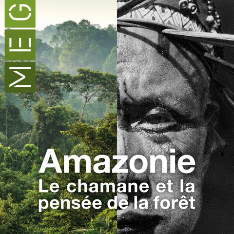 Affiche de l'exposition "Amazonie. Le chaman et la pensée de la forêt". [MEG]
